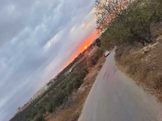 ارض للبيع مشترك 12