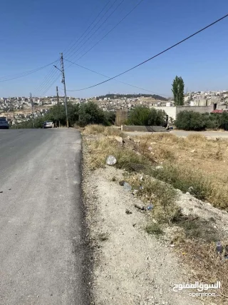 أرض سكن ب للبيع في ناعور – 1273م –شارع مميز – تصلح سكن أو استثمار 3