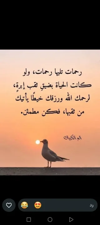 سعر نهائي ٤٥٠ الف دينار بناء الطابق الأرضي شقتين بناء قديم والطابق الثاني تشطيب