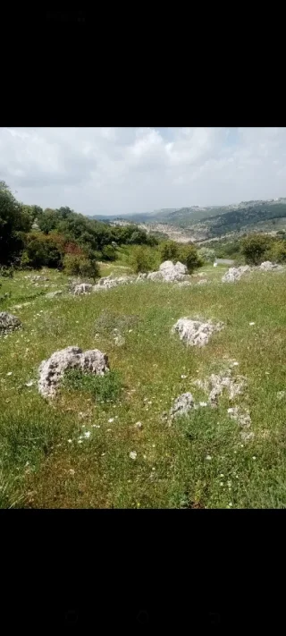 دونمين ارض للبيع في عجلون 3