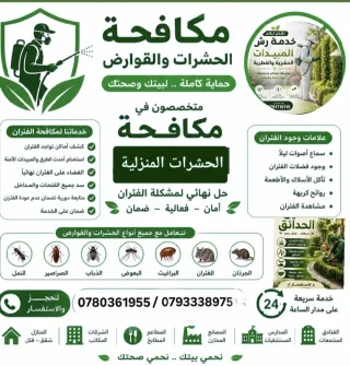 حشرة الفراش #البق  أو كما تسمي (حشرة البق) 🛏من  انواع الحشرات ازعاج حشرة سريعه ا