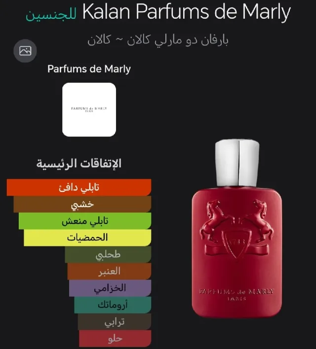 أمجاد للعطور 13