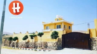 شاليه للايجار 9