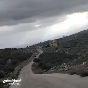 أرض للبيع في السلط( بطنة حوض أم رمانة)، تصلح لبناء مزرعة او فيلا سكنية. 9