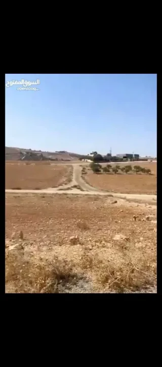 ارض بالمفرق مساحة ٦٤١ 4