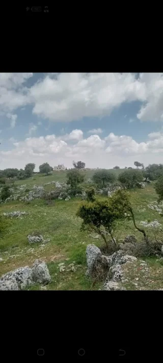 دونمين ارض للبيع في عجلون 8