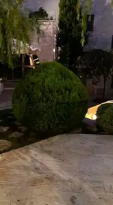 الرنتيسي للحدائق