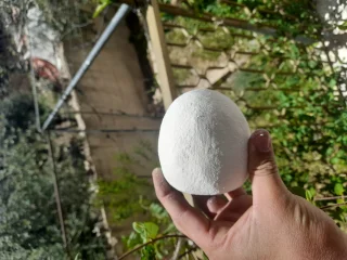 جميد كركي وسمن بلدي شغل نضيف ومكفول وأسعار مناسبه للجميع وخدمه توصيل وأسعار خاصه