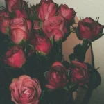 متجر لاحباب سوه 