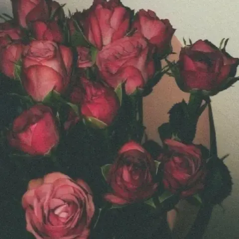 متجر لاحباب سوه 