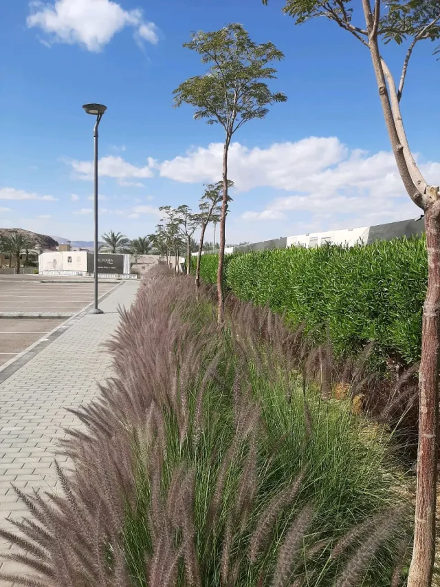 ألابعاد الهندسية للخدمات والاستثمار أنشائات وتنسيق حدائق Landscape 5