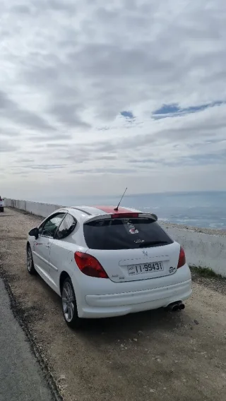 2009 Peugeot 207RC LE MANS