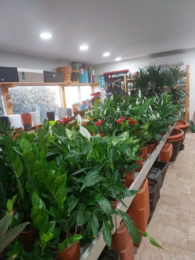 مشاتل ناعور الزراعية 3