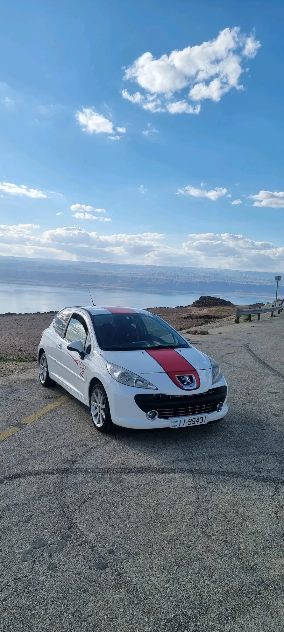 peugeot 207RC LE MANS