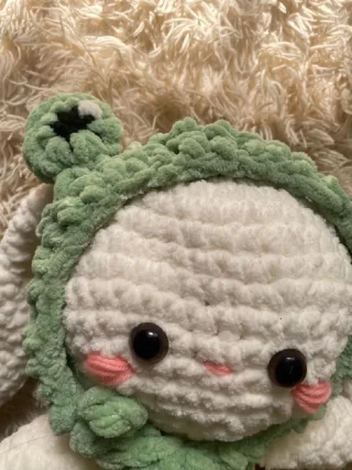 Froggy Bunny🐰 3