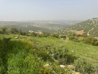 ارض بالزعتري السلط اطلاله رائعه 9