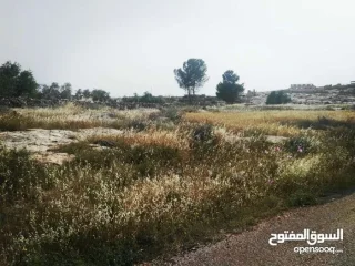 أرض زراعيّة تصلح لعمل مزرعة بأقل سعر في المنطقة 5