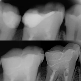 Dr Mohammed Abusbeit Dental clinic 14