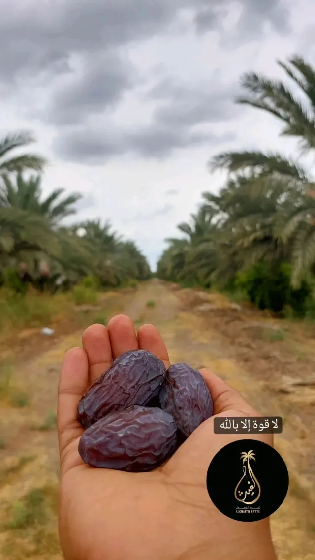تمور الغيث Al-Ghaith Dates 2