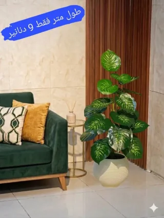 محمد الشنب
