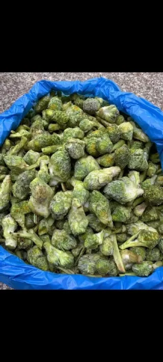 عكوب