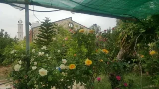 منزل مستقل للبيع شبه مزرعه 2