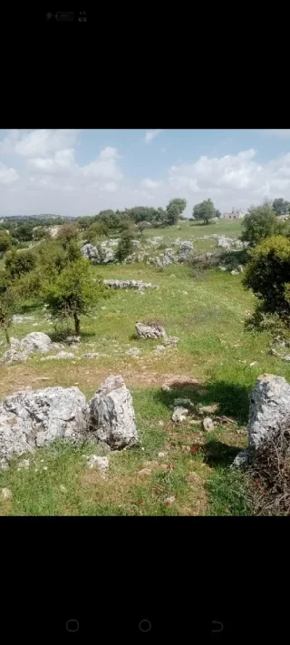 دونمين ارض للبيع في عجلون 7