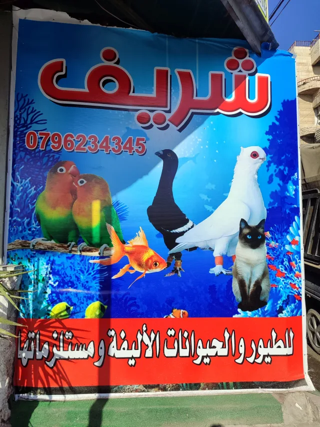 شريف للطيور والحيوانات الاليفه ومستلزماتها 12