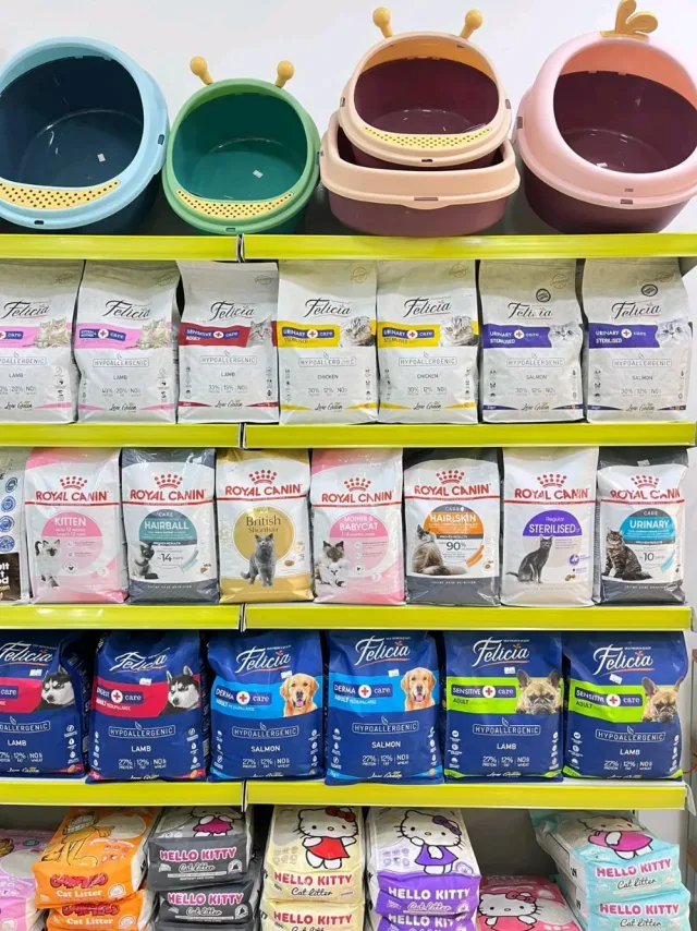 dargon Pet shop 9