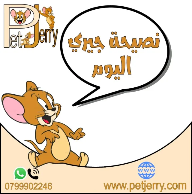 متجر جيري