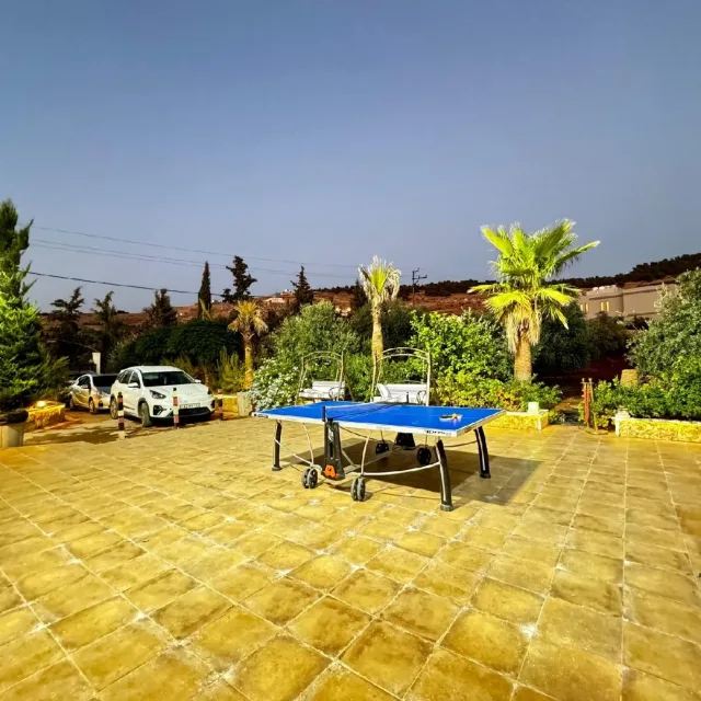 مزرعة الاقصى للايجار  15