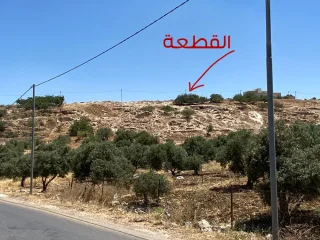 (من المالك مباشرة) قطعة أرض سكنية اربد - ايدون - العوامية الغربية 3