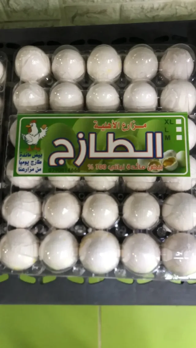 مركز الاهلية لتوزيع و بيع البيض الحليب 7