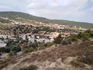 ارض للبيع 7
