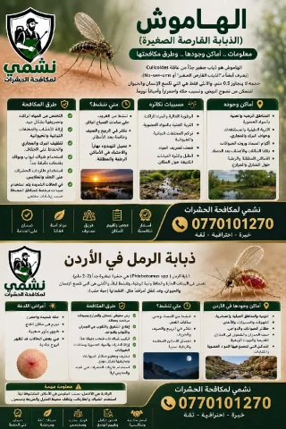 شركة نشمي لمكافحة الحشرات والقوارض 10