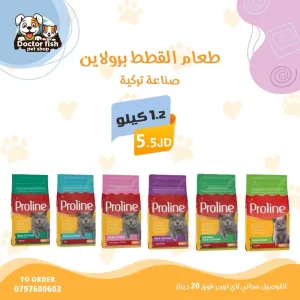 اكل قطط 10
