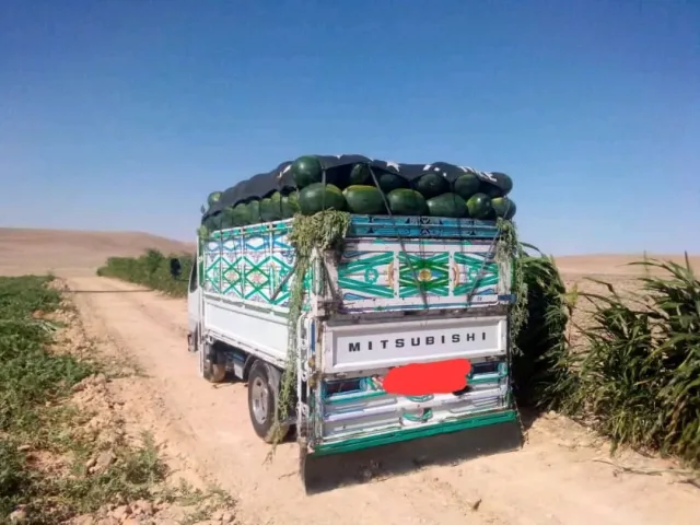 جنة عدن للخضار والفواكه 2