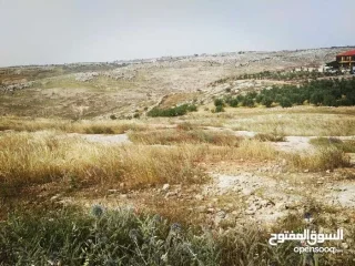 أرض زراعيّة تصلح لعمل مزرعة بأقل سعر في المنطقة 6