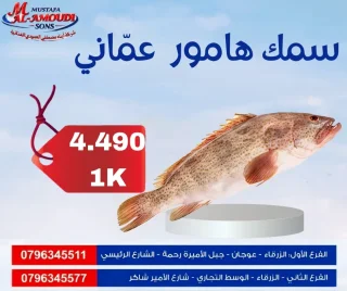 اسماك ومأكولات بحريه مجمد 8