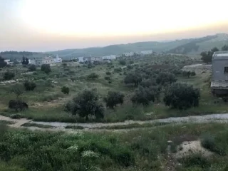 مزرعة مميزة مفروزة مخدومة على ٣ شوارع 7