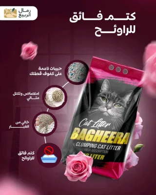 رمل قطط باغيرا للتجار و الموزعين