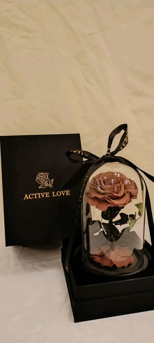 Forever rose Jo 2