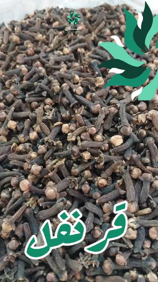 توابل الملاح 13