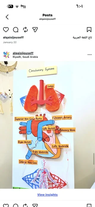 منفذ مشاريع طلابية ومكتبية 9