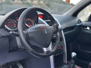 2009 Peugeot 207RC LE MANS
