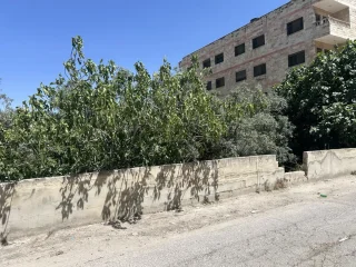 ارض بالجبيهه طريق ياجوز