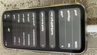 12 ميني