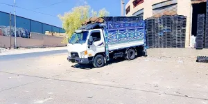 محمد