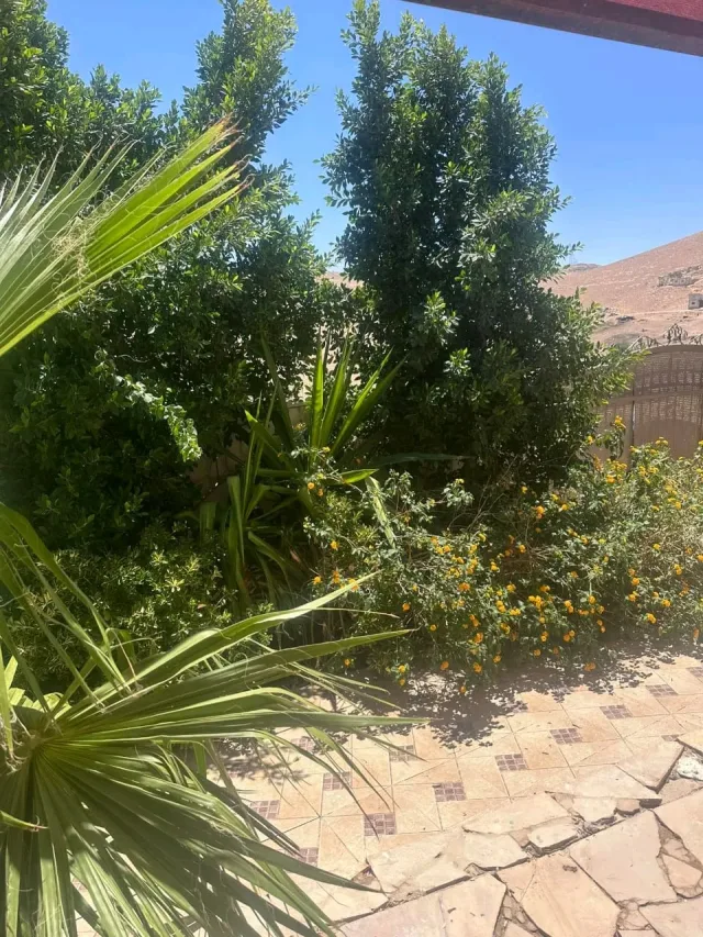 شاليه حكايتنا 12