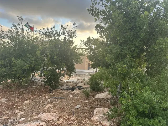 Ghosn AlBaloot resort 2